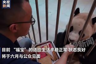 Không còn ở Tứ Xuyên nữa? Hôm qua, Massey đã trả lời video ở Thượng Hải.